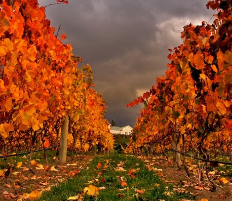 在线短信轰炸平台