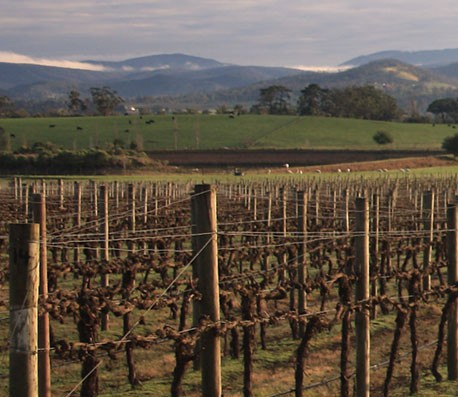 轰炸手机短信软件